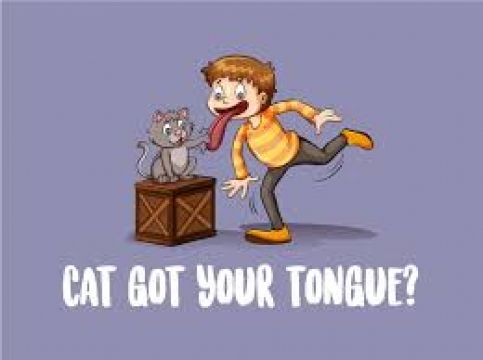 Animal idioms      